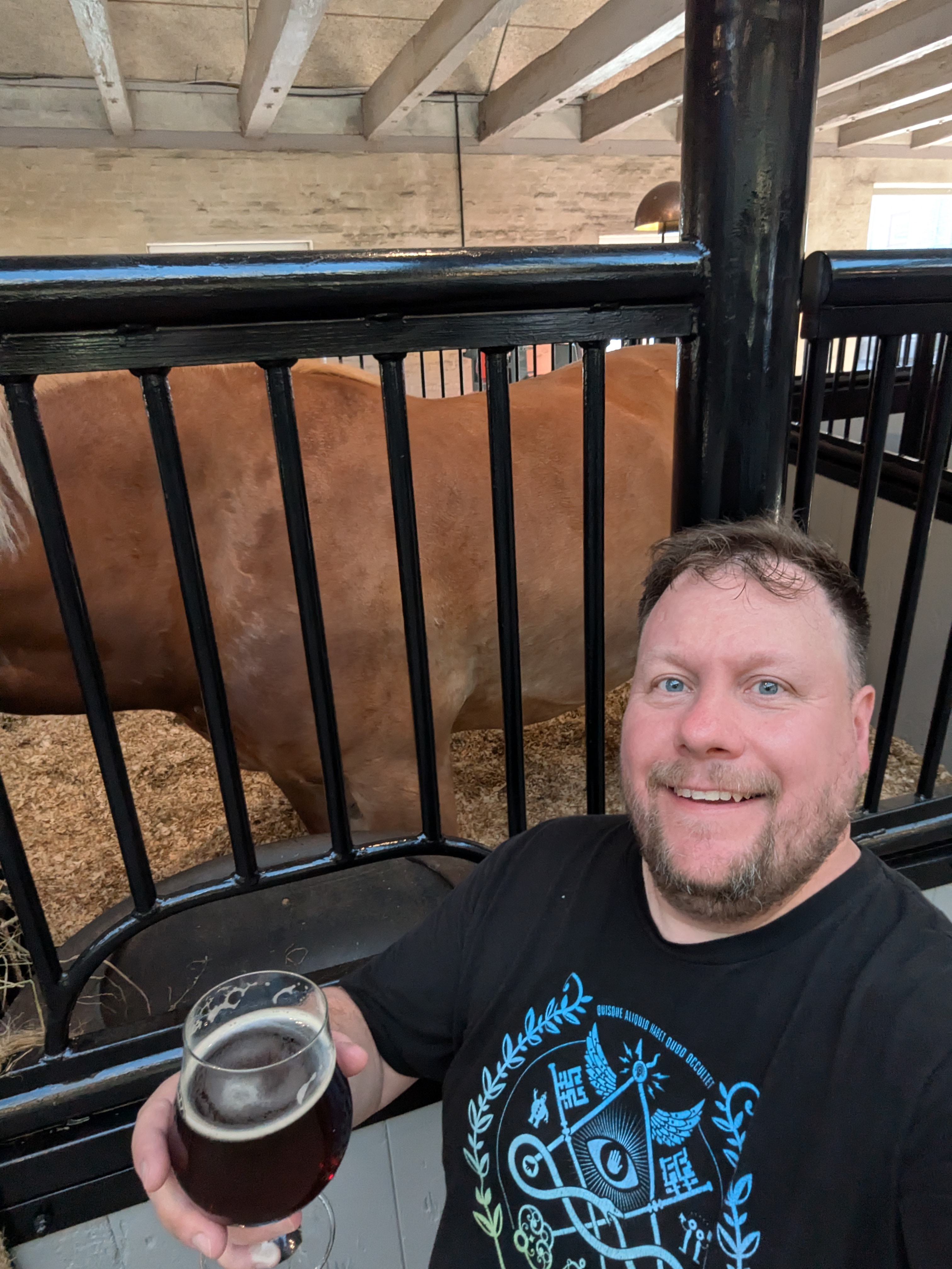 A beer with the dray horses