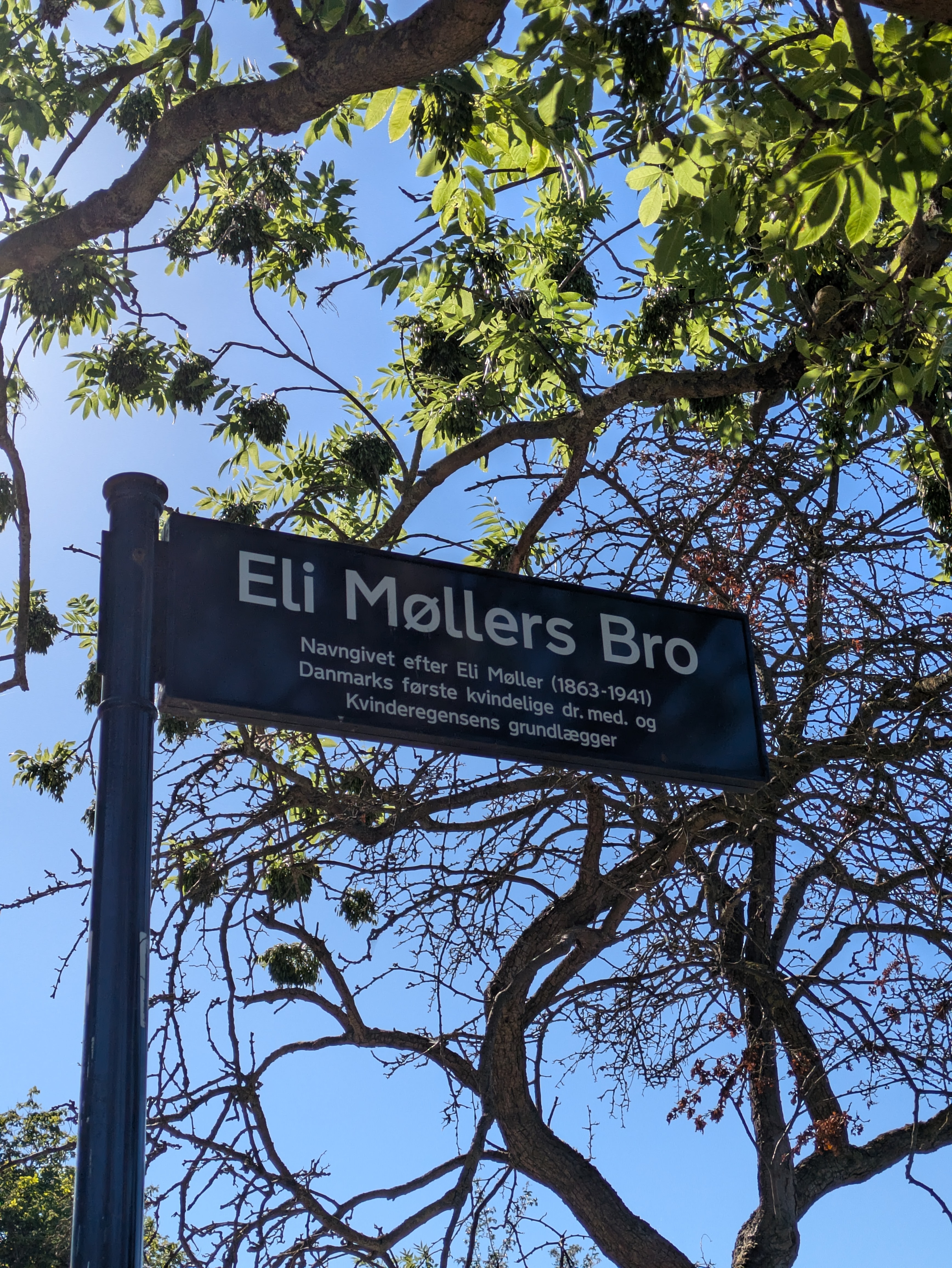 Eli Møllers Bro